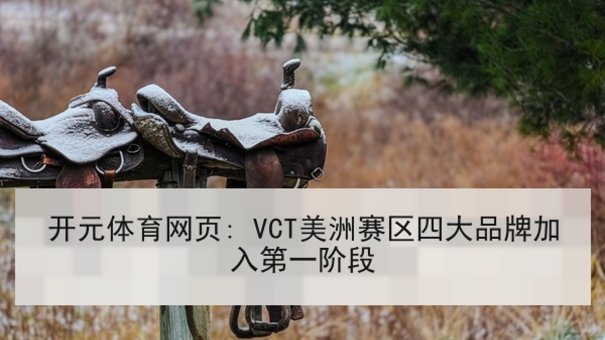 开元体育网页: VCT美洲赛区四大品牌加入第一阶段