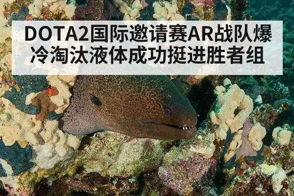 DOTA2国际邀请赛AR战队爆冷淘汰液体成功挺进胜者组